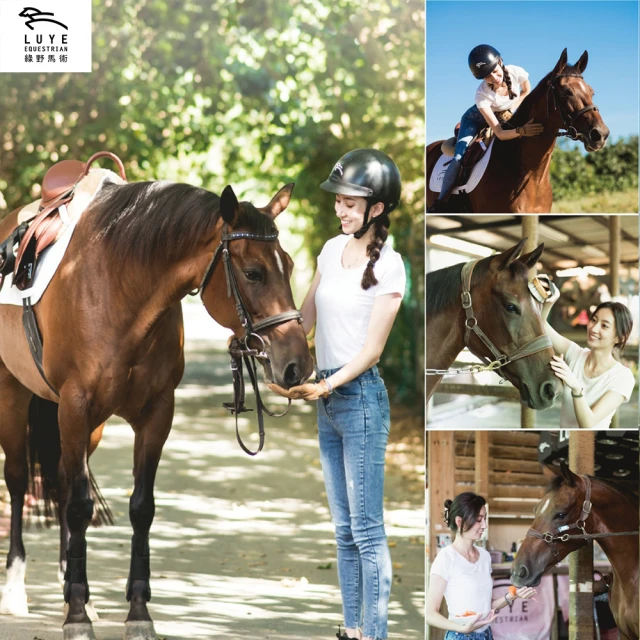 綠野馬術 綠野馬術輕奢體驗(馬術／騎馬／體驗／動物／戶外)