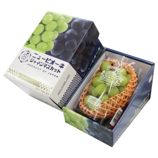 【WANG 蔬果】日本長野/山梨縣溫室麝香葡萄1房禮盒x1盒(350-400g/串)