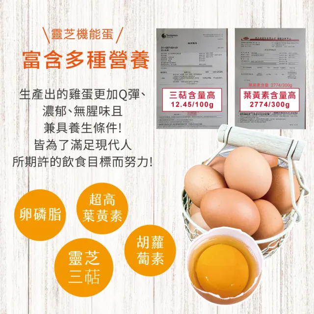 【初品果】富立牧場靈芝機能雞蛋60顆x1箱(白蛋_48小時內新鮮生產雞蛋_多項檢驗合格)