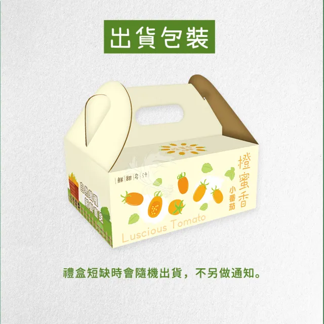 【禾鴻】郭老師農場有機認證橙蜜香小番茄禮盒4斤x6盒(淨重不帶蒂頭出貨)