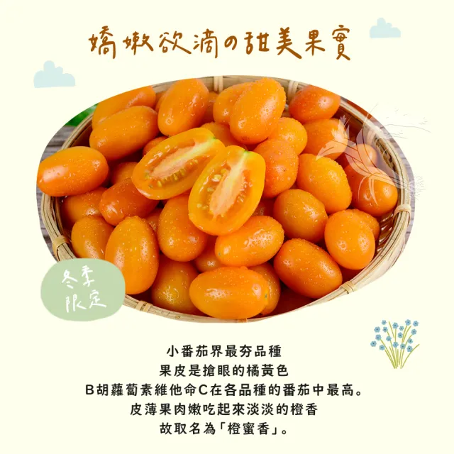 【禾鴻】橙蜜香小番茄禮盒5斤x2盒(不帶蒂頭出貨)