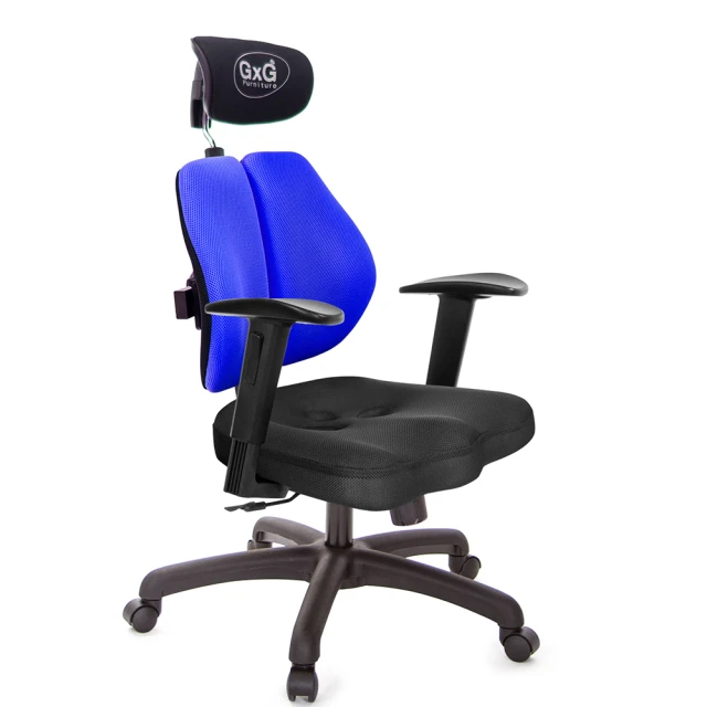 GXG 吉加吉GXG 吉加吉 兩軸枕 4D平面折疊扶手 雙背美臀椅(TW-2534 EA2)