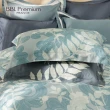 【BBL Premium】100%天絲印花兩用被床包組-迷霧森林(雙人)