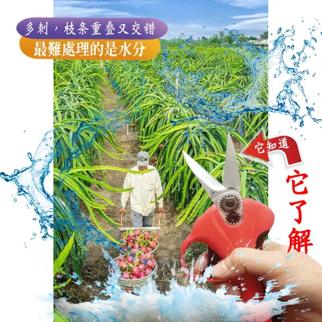 【立豐科技】歐美品牌市場｜鋰電池剪刀｜食品水果蔬菜切割多功能修剪修枝果樹鏈鋸(火龍果專屬電剪)