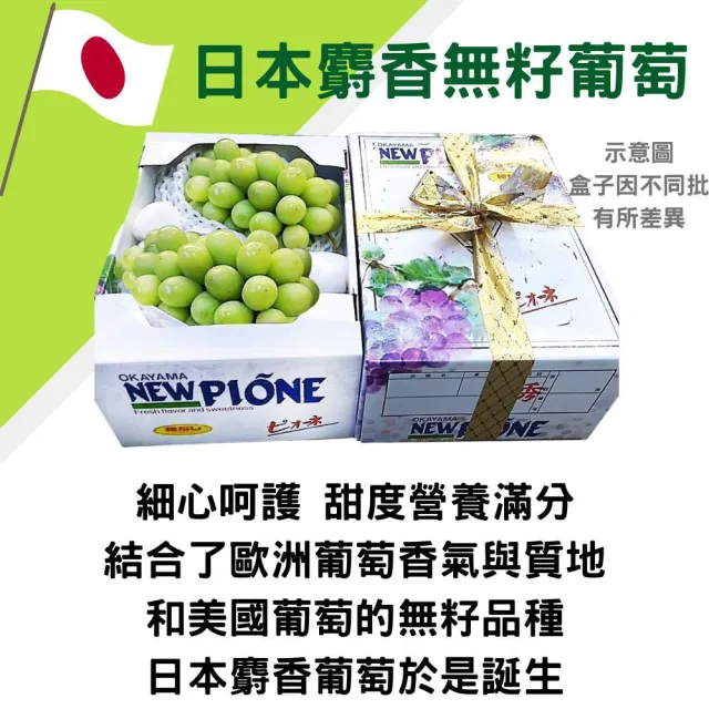 【RealShop】日本麝香葡萄大串淨重500-600gx1房/盒(綠無籽葡萄 真食材本舖)
