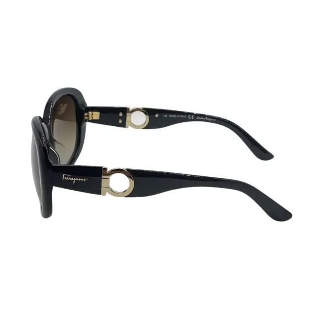 【Salvatore Ferragamo】時尚膠框太陽眼鏡(SF734SA-001)