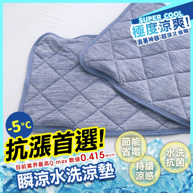 【HongYew 鴻宇】涼感-5度C 瞬涼可洗抗菌 枕頭保潔墊(2入)