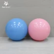 【Fun Sport】歐力斯體適能健身球-55cm-送打氣筒-(抗力球 瑜珈球 運動球)