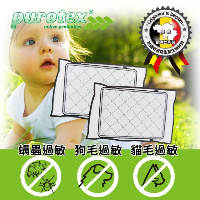 【LooCa】防護抗敏枕頭保潔墊-2入(Purotex益生菌系列-速達)