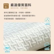 【BELLE VIE】智能塑型 100%天然碎乳膠枕(10cm/1入)