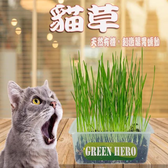 【園藝世界】貓草-混合包3入(寵物貓草)