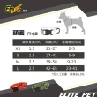 【ELITE PET】FLASH閃電系列 寵物反光頸圈 L(軍綠)