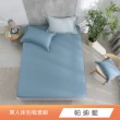 【HongYew 鴻宇】60支100%天絲 床包枕套組-多款任選(單人)