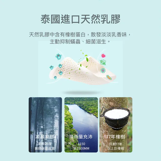 【ISHUR伊舒爾】買1送1 純天然兒童乳膠枕(枕頭 乳膠枕 大尺寸 完美支撐 兒童枕頭 速達)