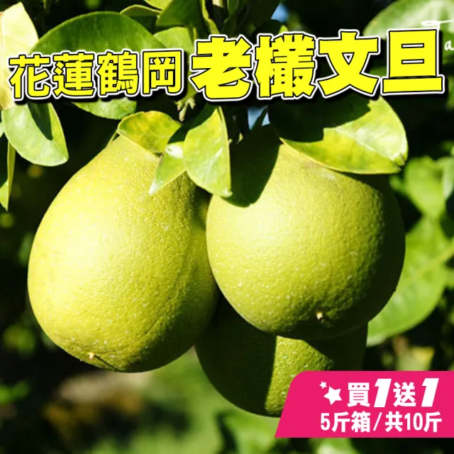 【台灣紅】鶴岡60年老欉特級文旦5斤x2盒(頂級老欉小果_6-9顆/5斤/中秋禮盒_共10斤_中秋柚子)