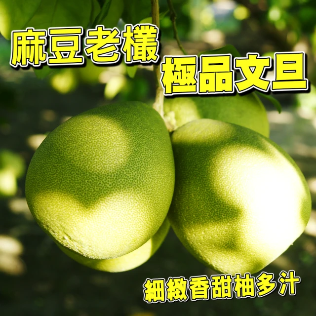【台灣紅】麻豆50年老欉極品文旦10斤x1盒(7-12顆/10斤/中秋禮盒_柚子)
