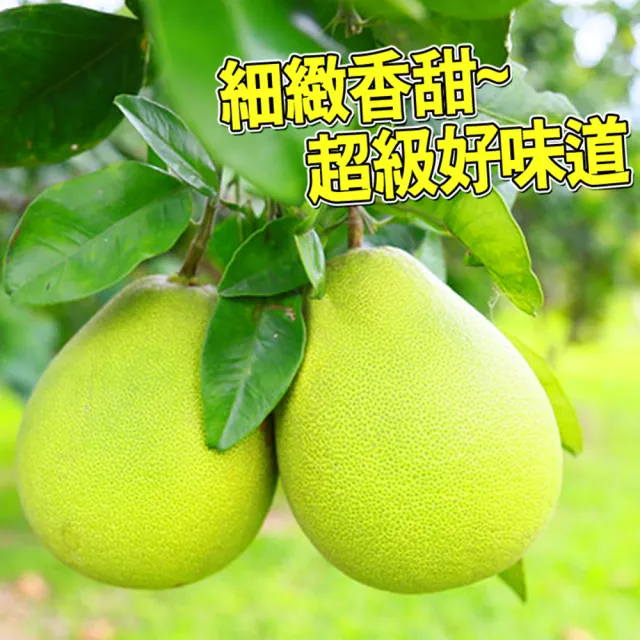 【台灣紅】麻豆50年老欉極品文旦10斤x1盒(7-12顆/10斤/中秋禮盒_柚子)