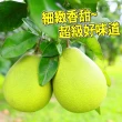 【台灣紅】麻豆60年極品文旦5斤x2盒(6-9顆/5斤/禮盒_共10斤/中秋禮盒_頂級老欉小果_中秋柚子)