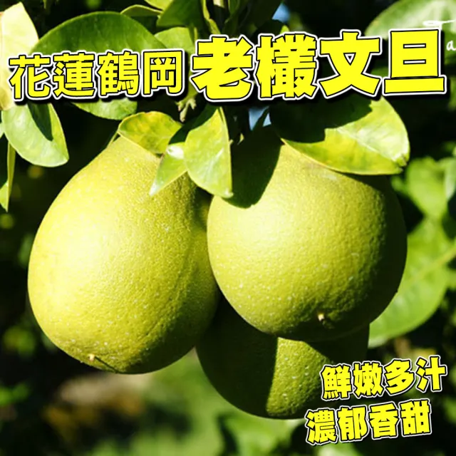 【台灣紅】鶴岡60年老欉特級文旦5斤x1盒(頂級老欉小果_6-9顆/5斤/中秋禮盒_中秋柚子)