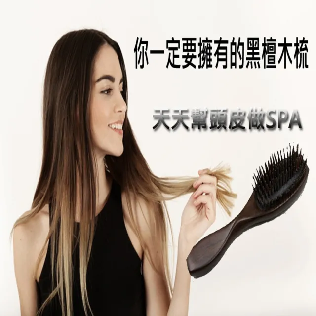 【登豐】高級精品黑檀木氣墊梳-附精美紙盒(氣墊梳 梳整頭髮 按摩頭皮 防止靜電不打結)