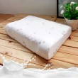 【HongYew 鴻宇】美國棉授權 防蹣抗菌 護頸型乳膠枕(1入)