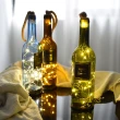 【Meric Garden】創意北歐ins風裝飾玻璃瓶LED小夜燈/小彩燈/電池燈飾(款式隨機)