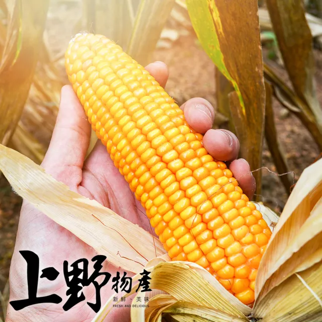 【上野物產】台灣產香甜玉米粒 1包(500g±10%/包)