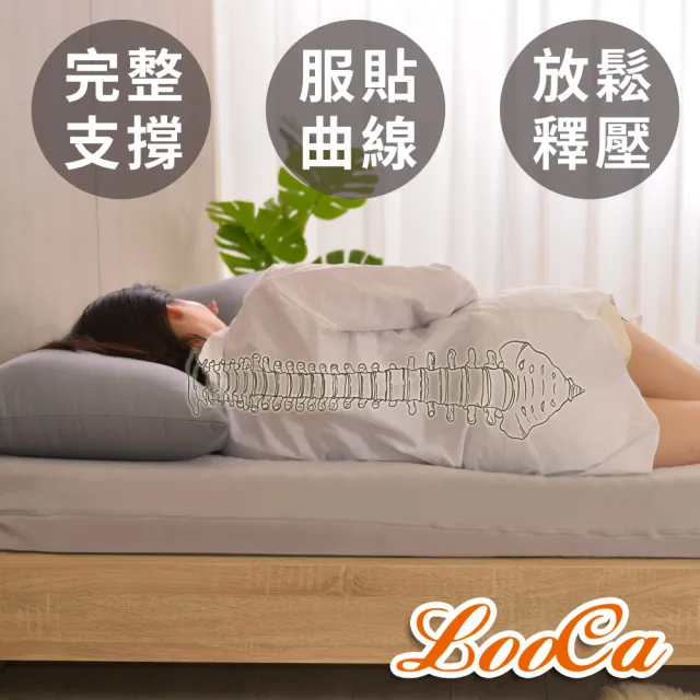 【LooCa】日本防蹣抗菌10cm記憶床墊-加大6尺(共2色)