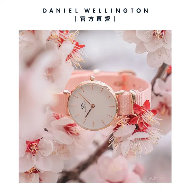 Daniel Wellington DW Petite Rosewater