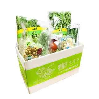 【菜霸子】蔬菜箱(活力蔬菜組合箱-組合隨機 廠商直送 現貨)