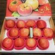 【水果達人】智利AAA蜜蘋果禮盒 12顆* 1箱(220g±10%/顆)