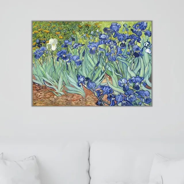 《鳶尾花》梵谷．後印象派 世界名畫 經典名畫 風景油畫-無框60x80CM