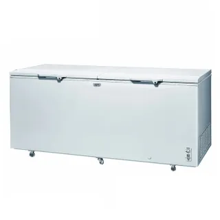 【SANLUX 台灣三洋】616L 上掀式冷凍櫃/福利品(SCF-616G)