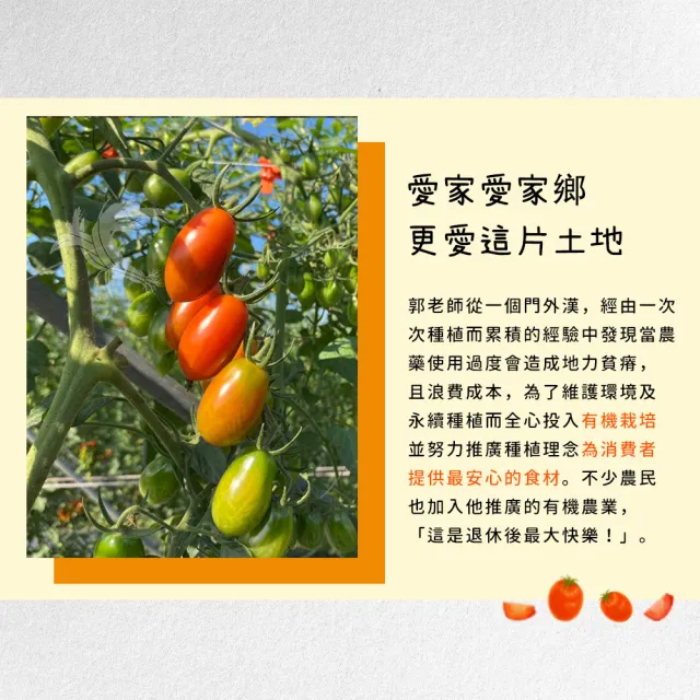【禾鴻】郭老師農場有機認證橙蜜香小番茄禮盒4斤x2盒(淨重不帶蒂頭出貨)