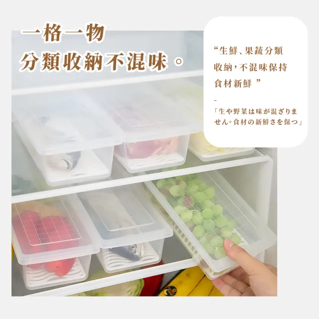 【冰箱防味】日式長方形瀝水保鮮盒3入(冷凍盒 魚肉 瀝水盒 分類盒 收納盒 收納盒 蔬果盒 整理盒 分隔)