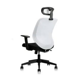 【Backbone】Eagle 人體工學椅 老鷹起飛款-標準配置(Backbone Eagle人體工學椅)