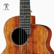【aNueNue】M88E 吉他旅行系列 36吋 旅行木吉他 電聲款(原廠公司貨 商品皆有保固一年)