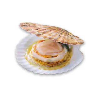 【好嬸水產】清爽海味厚實半殼扇貝250G-6包