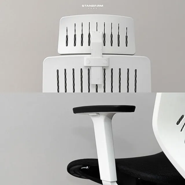 【Backbone】Peacock白框網座 人體工學椅(獨家販售透氣網座款)
