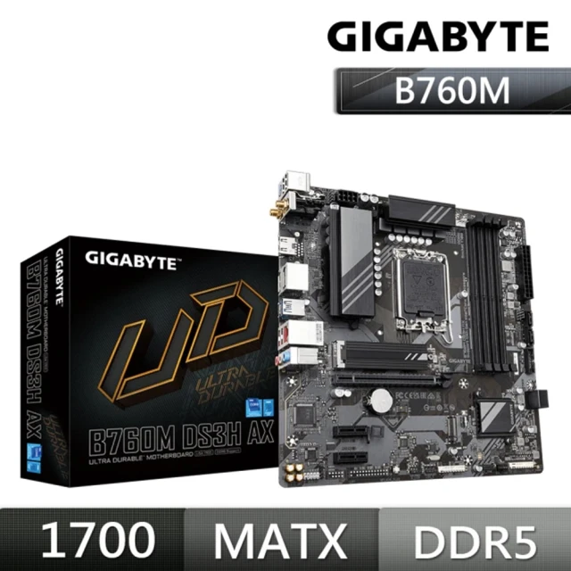 GIGABYTE 技嘉 B760M DS3H AX DDR4