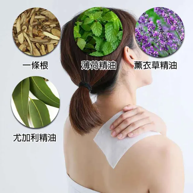【金牌一條根】MOMO獨家金牌金門一條根精油貼布超強加長大片35X16cm貼布特惠組(8包組共40片 一條根貼布)