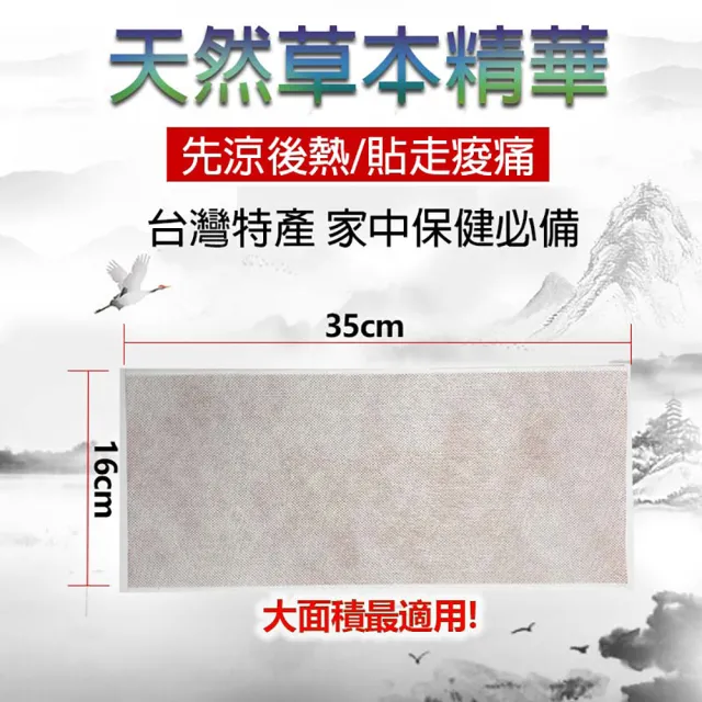 【金牌一條根】金牌金門一條根貼布超長超大片2包10片入先涼後熱(一條根貼布最大尺寸 大面積使用 痠痛消解)
