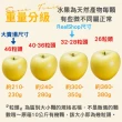 【RealShop】日本青森toki土歧36-40粒頭5kg±10%x1盒(18-20顆禮盒 水蜜桃蘋果 真食材本舖)