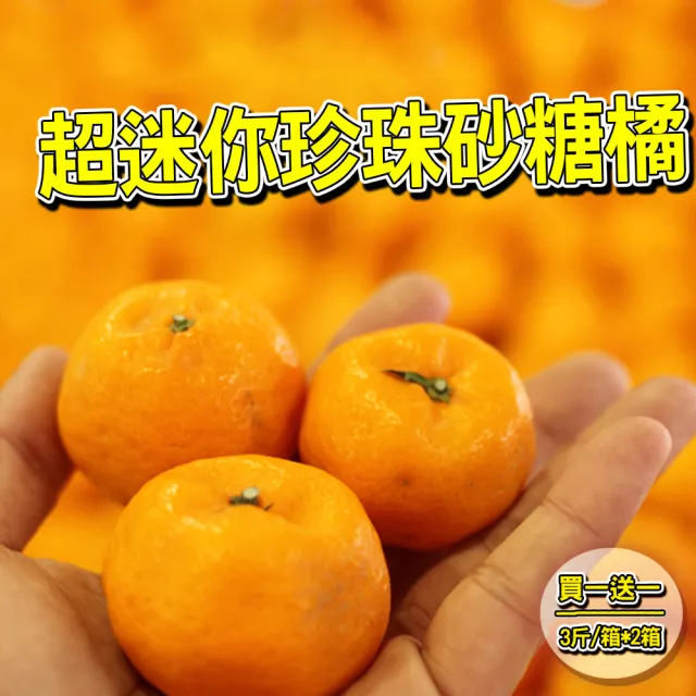 買一送一 迷你珍珠砂糖橘(3斤/箱-共6斤)