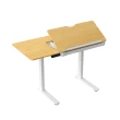 【Flexispot】多功能繪圖電動升降桌 120*60cm桌組(工作繪圖桌/辦公桌/電腦桌/主管桌/兒童成長桌)