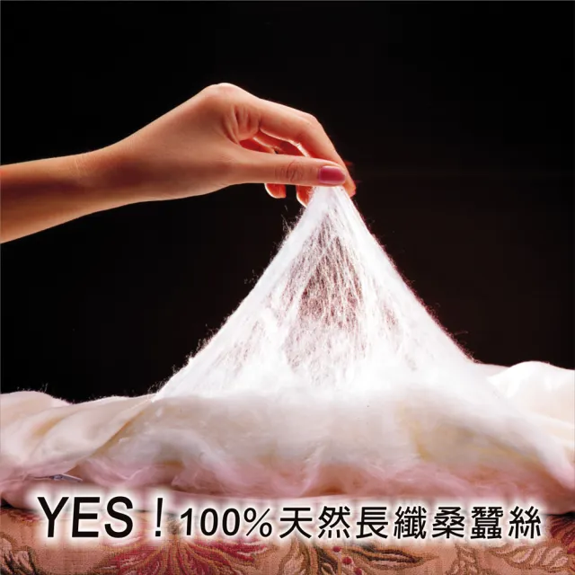 【YES】純天然100％AA級蠶絲冬被 淨重5.5台斤（雙人豪華加寬型7×7尺 ）