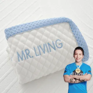 【MR. LIVING 居家先生】加購優惠-涼感減壓記憶枕-專用枕套(不適用於一般枕頭)