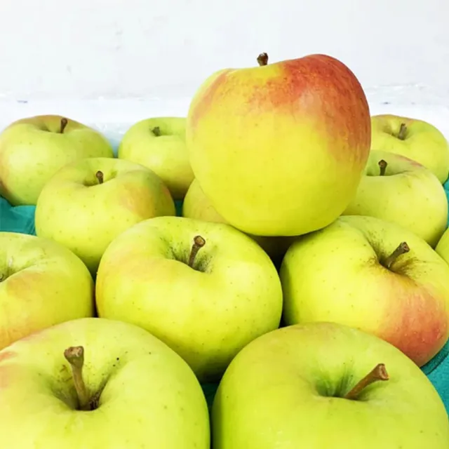 【RealShop】日本名月蘋果1.6kg±10%x1盒(6顆裝禮盒 36粒頭 真食材本舖)