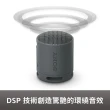 【SONY 索尼】可攜式無線藍牙喇叭 SRS-XB100(台灣公司貨保固12個月)