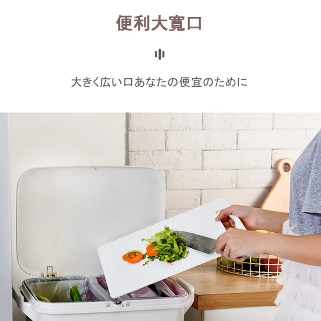【isona】38L 二層單蓋垃圾桶 腳踏式按壓 分類垃圾桶(垃圾桶)